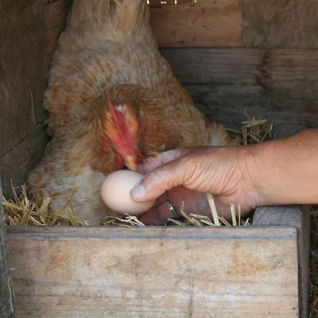 La Granja De Vitoria Gospodarstwo wiejskie *