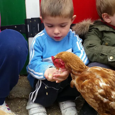 Gospodarstwo wiejskie La Granja De Vitoria