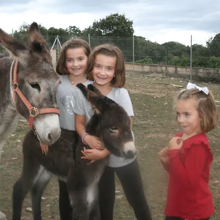 Gospodarstwo wiejskie La Granja De Vitoria Hueto Arriba