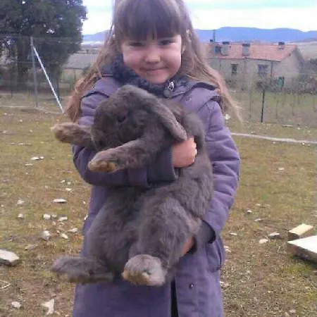 La Granja De Vitoria