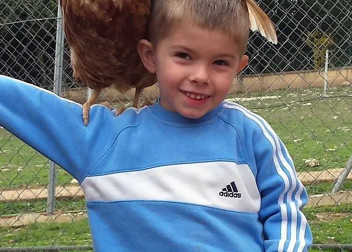 La Granja De Vitoria Hueto Arriba