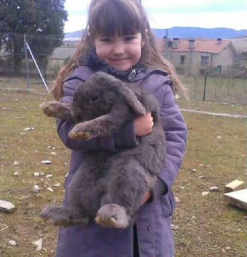 La Granja De Vitoria