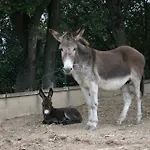 La Granja De Vitoria *