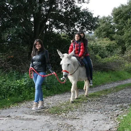 La Granja De Vitoria *