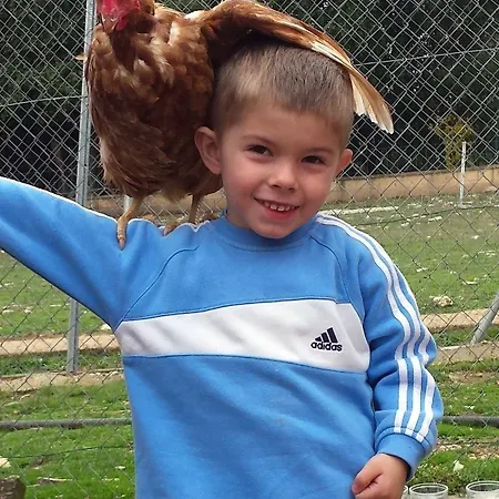 La Granja De Vitoria Hueto Arriba