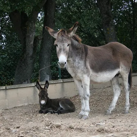 Séjour à la campagne La Granja De Vitoria *