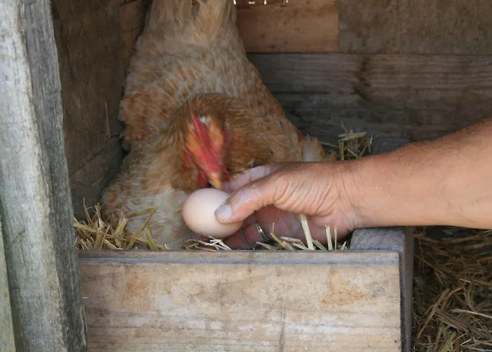 La Granja De Vitoria Country house *