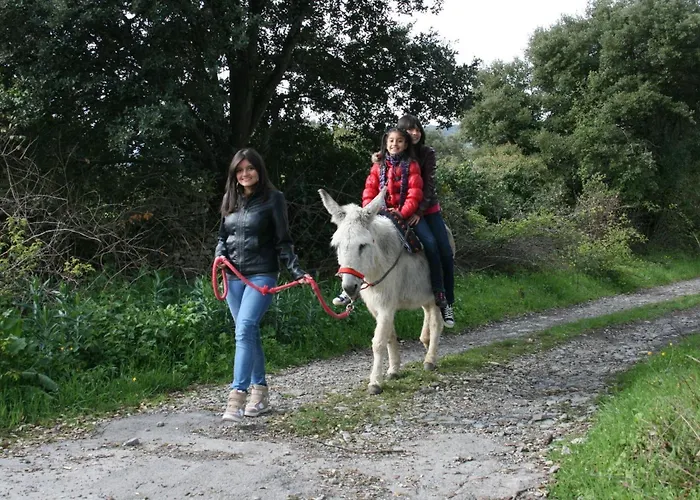 La Granja De Vitoria *